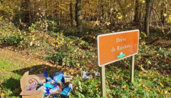 Un jeune couple soupçonné des meurtres d’un handicapé et d’un ami en Bretag